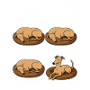 Windhund Greyhound