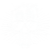 Skull Sunglasses
