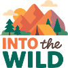 Mountains and forest wilderness