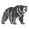 Abstract bear with line patterns