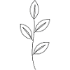 Pflanze Elegant