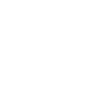 I Survived 2025