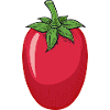 Tomate San Marzano