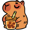 Bébé Capybara