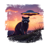 Cool raccoon UFO design