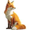 Fascinating silhouette of a proud fox
