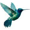 Aquarellierter Kolibri im Flug