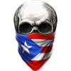 Puerto Rican Skull