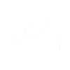 Heartbeat Elephant