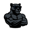 panther sonnenbrille comic cool