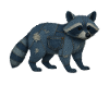 Waschbär Denim