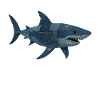 Denim Requin