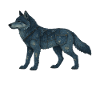Wolf Denim