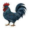 Rooster Denim