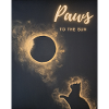 Pattes au soleil Chat céleste Art
