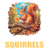Eichhörnchen