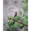 Hummingbird Perched on Leafy Branch
