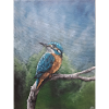 Vivid Kingfisher on Branch Artwork