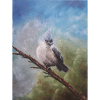 Whimsical Blue-Crested Bird Illustration