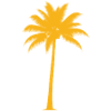 Sun palm at sunset