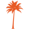 Sunset palm tree silhouette