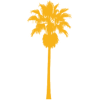Tropical palm silhouette on yellow