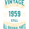 Vintage 1959 geappliqueerde retro-badge