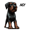 No Deutsch Drahthaar Deutsch-Drahthaar Besitzer