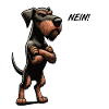 Nein Deutsch Drahthaar Deutsch-Drahthaar Besitzer