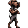 German Wirehaired German Wirehaired Owner