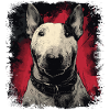 Bullterrier
