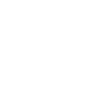 Nordsee Möwen