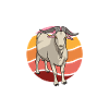 I love my Kiko goat