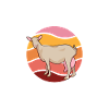 I love my Saanen goat