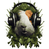 DJ Cochon d’Inde