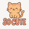 Cute kitten