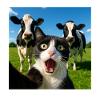 Süße Katze Kuh Selfie Geschenkidee