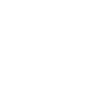 Bus Driver