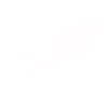 diver