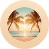 Sunset on the palm beach