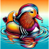 Mandarin duck