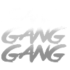 Gear