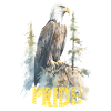 Aquila Fiera – Pride and Strength