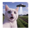 Katzen-Selfie mit Alien-UFO