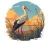 Storks Stork