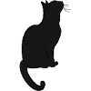 Un chat mignon