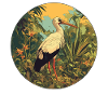 Storks Stork