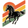 Elégant cavalier dressage équestre