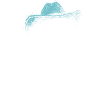 Cowboy-Vogel