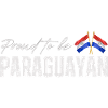 Paraguayan pride, Paraguayan flag